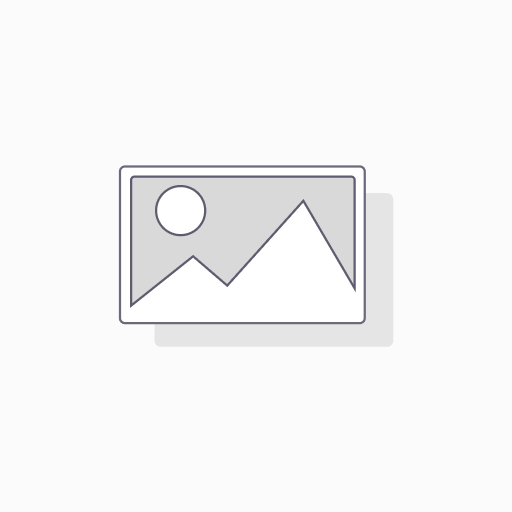 [NPR045] Cateter intravenoso 16gx50mm 2" gris 